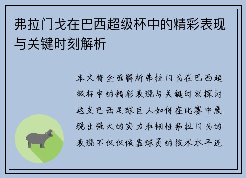 弗拉门戈在巴西超级杯中的精彩表现与关键时刻解析