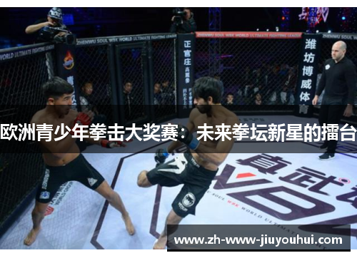 欧洲青少年拳击大奖赛：未来拳坛新星的擂台