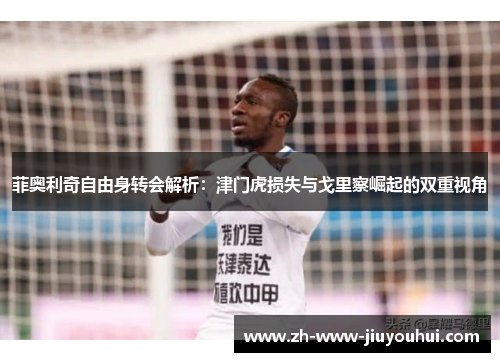 菲奥利奇自由身转会解析：津门虎损失与戈里察崛起的双重视角