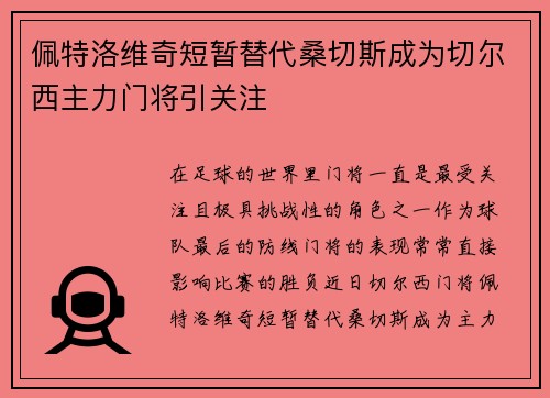 佩特洛维奇短暂替代桑切斯成为切尔西主力门将引关注 佩特洛维奇短暂替代桑切斯成为切尔西主力门将引关注
